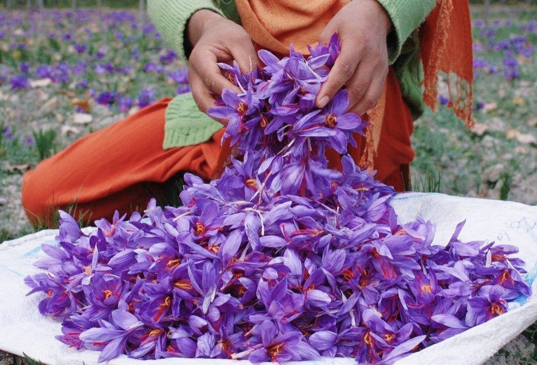 স্যাফরন বা জাফরান